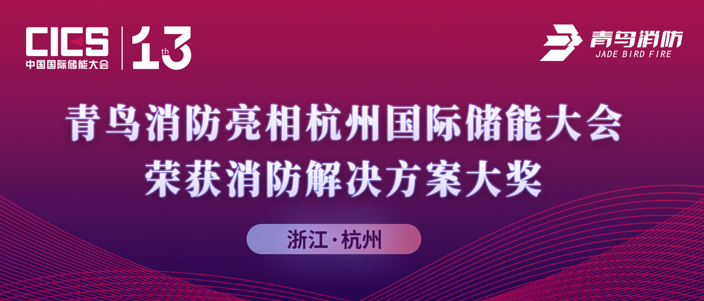 尊龙集团官网亮相杭州国际储能大会，荣获消防解决规划大奖