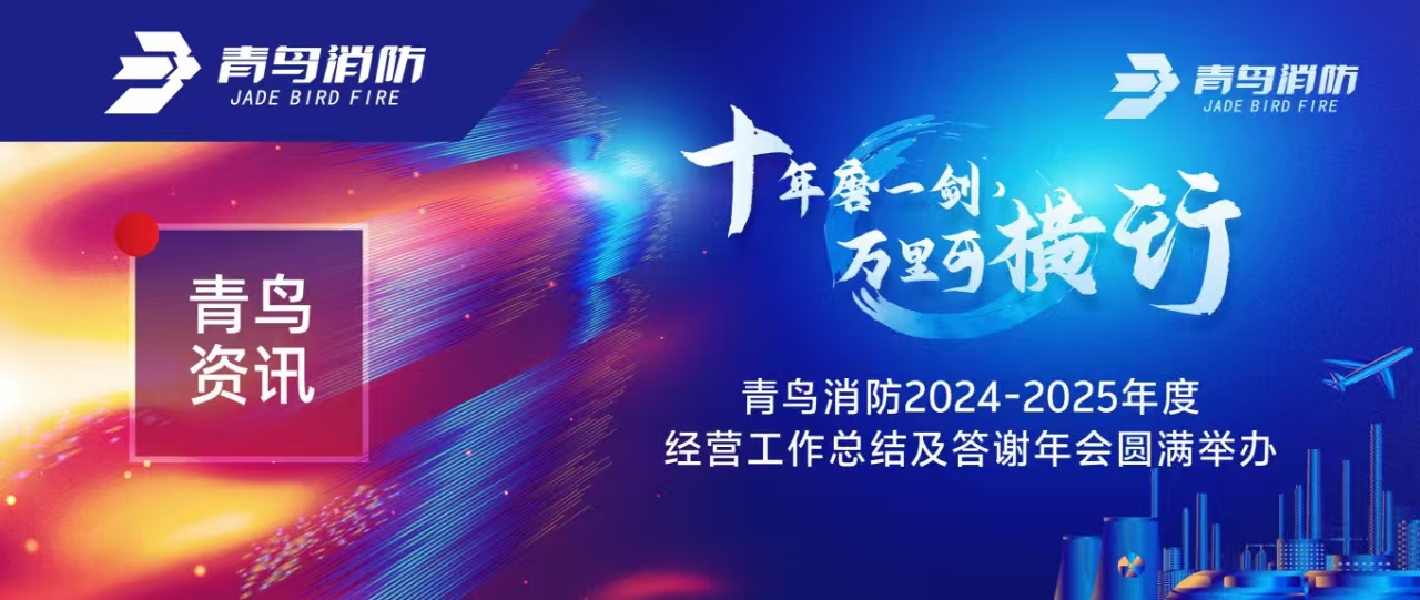 青鸟资讯 | “十年磨一剑 万里可横杏妆尊龙集团官网2024-2025年度经营工作总结及答谢年会圆满进行